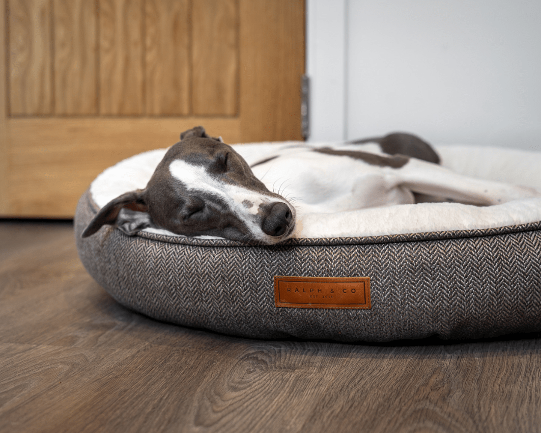 THE LINCOLN | LUXURY DONUT BED