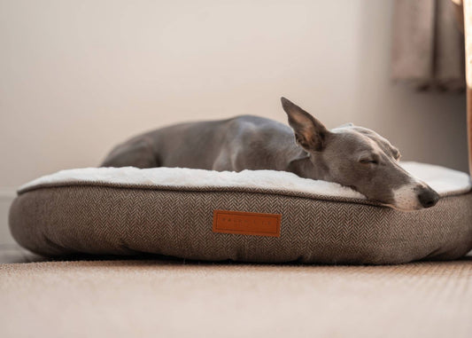 THE LINCOLN | LUXURY DONUT BED