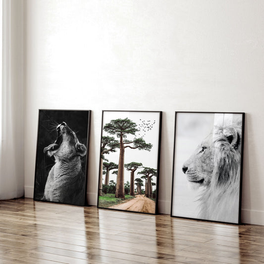 Wall Art Pictures Framed | Set of 3 African Wildlife Wall art Prints