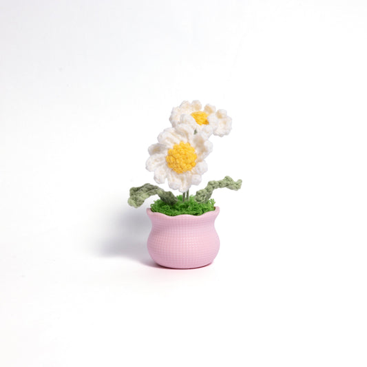 Blooming Joy Pastel Pots – Handcrafted Pastel Mini Pots for Festive Holiday Décor