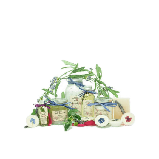 Wild Lavender Foam Bath & Shower Gel - A moment of pure lavender calm