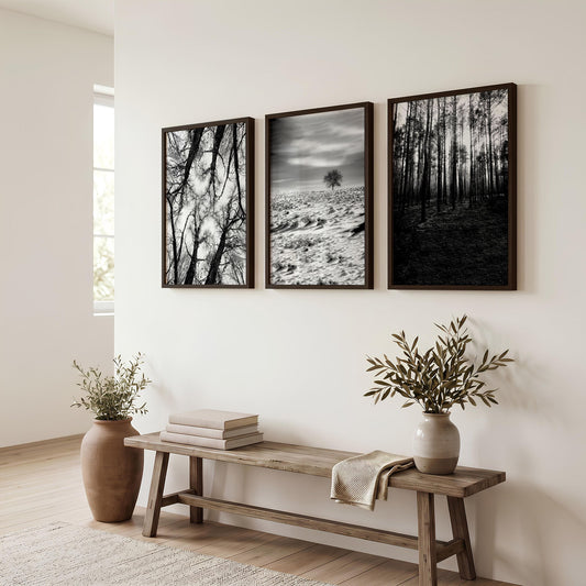 Wildlife Wall Art Black and White Forest Photography | Set of 3