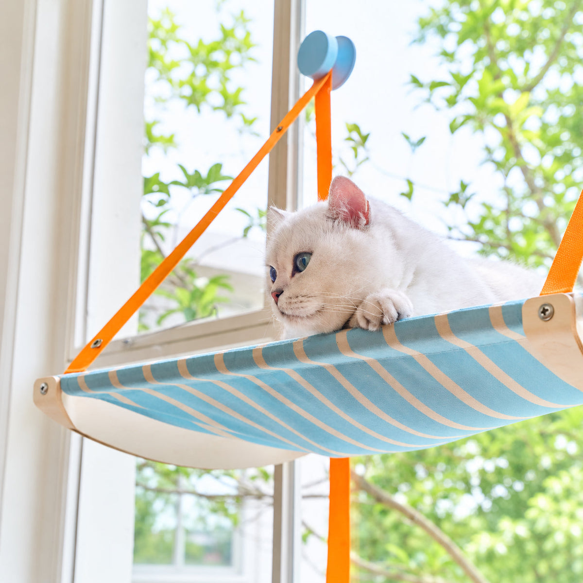 zeze Striped Hanging Cat Hammock — Suction-Cup Window Perch