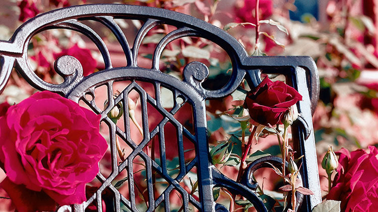 Garden Chairs