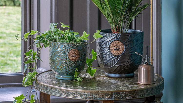 The Foalyard Premium High Quality Royal Botanic Gardens Kew Indoor Planters