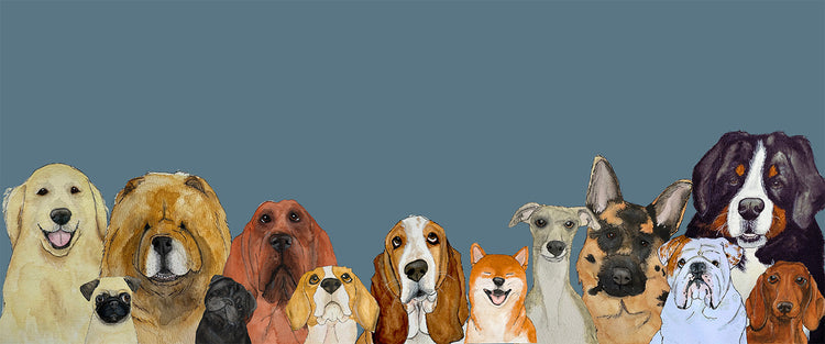 Original watercolour illustrations of different dog breeds by British artist Bon Allen, creator of Bon Dog