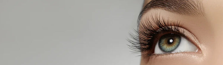 Ladybug Lashes professional eyelash extensions and lash styling