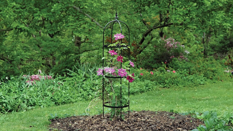 British Made Garden Trellises and Sturdy Obelisks