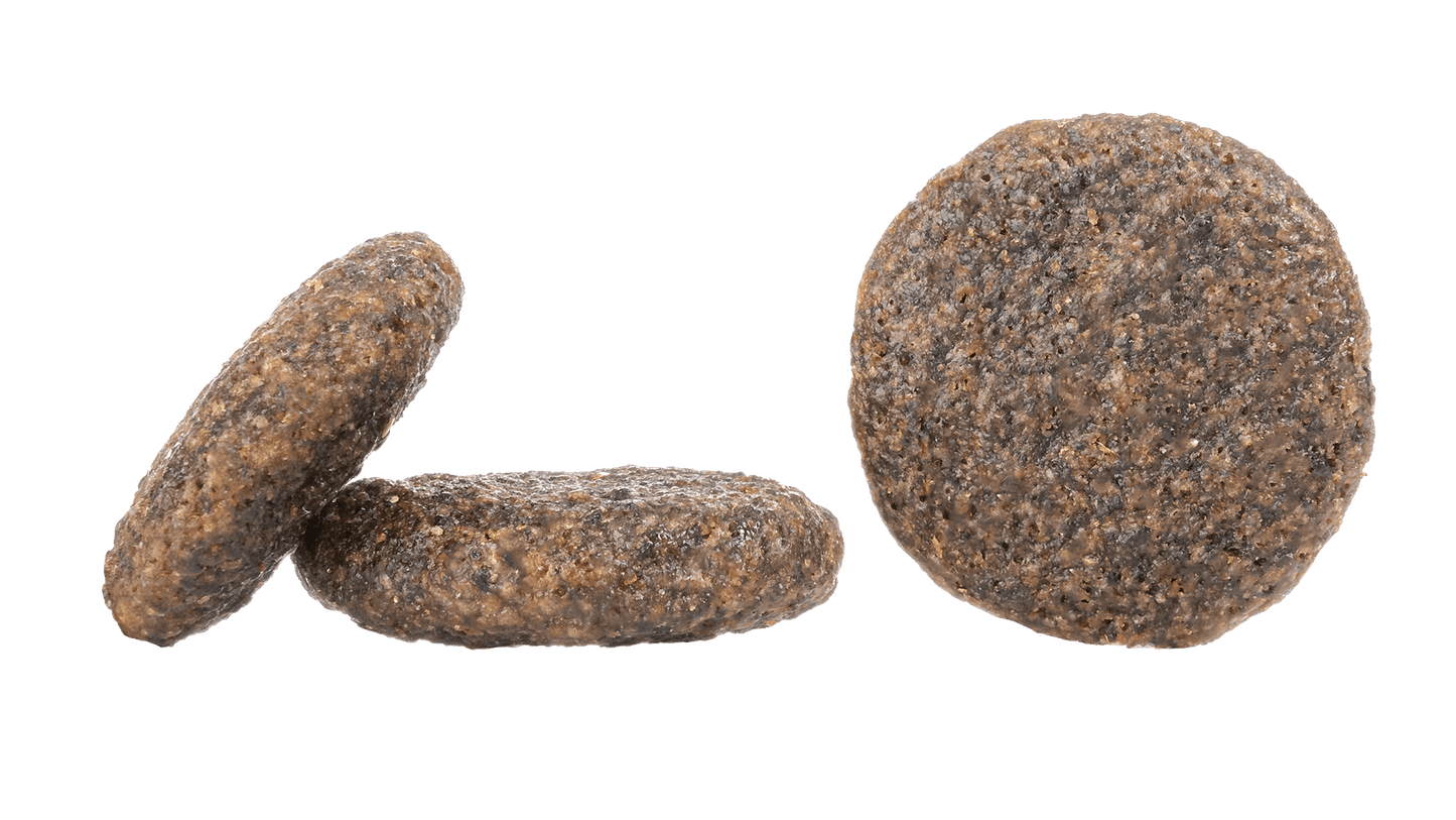 Happy Dog Karibik (Carribbean)