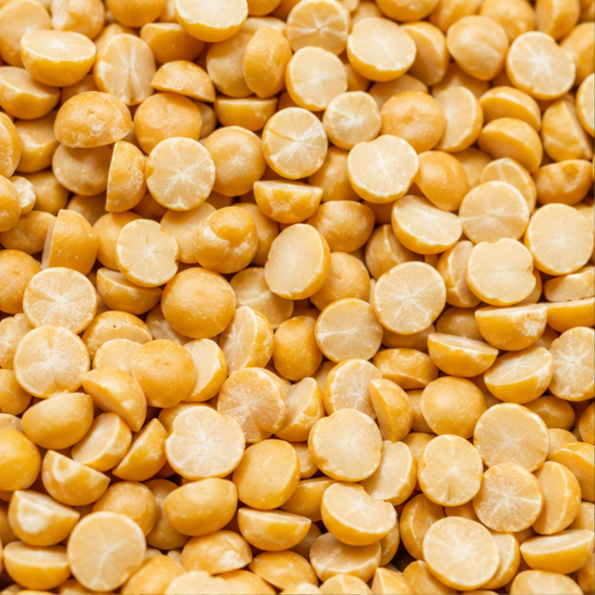 Organic Split Yellow Peas