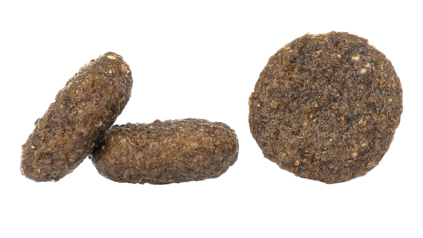 Happy Dog Mini Montana