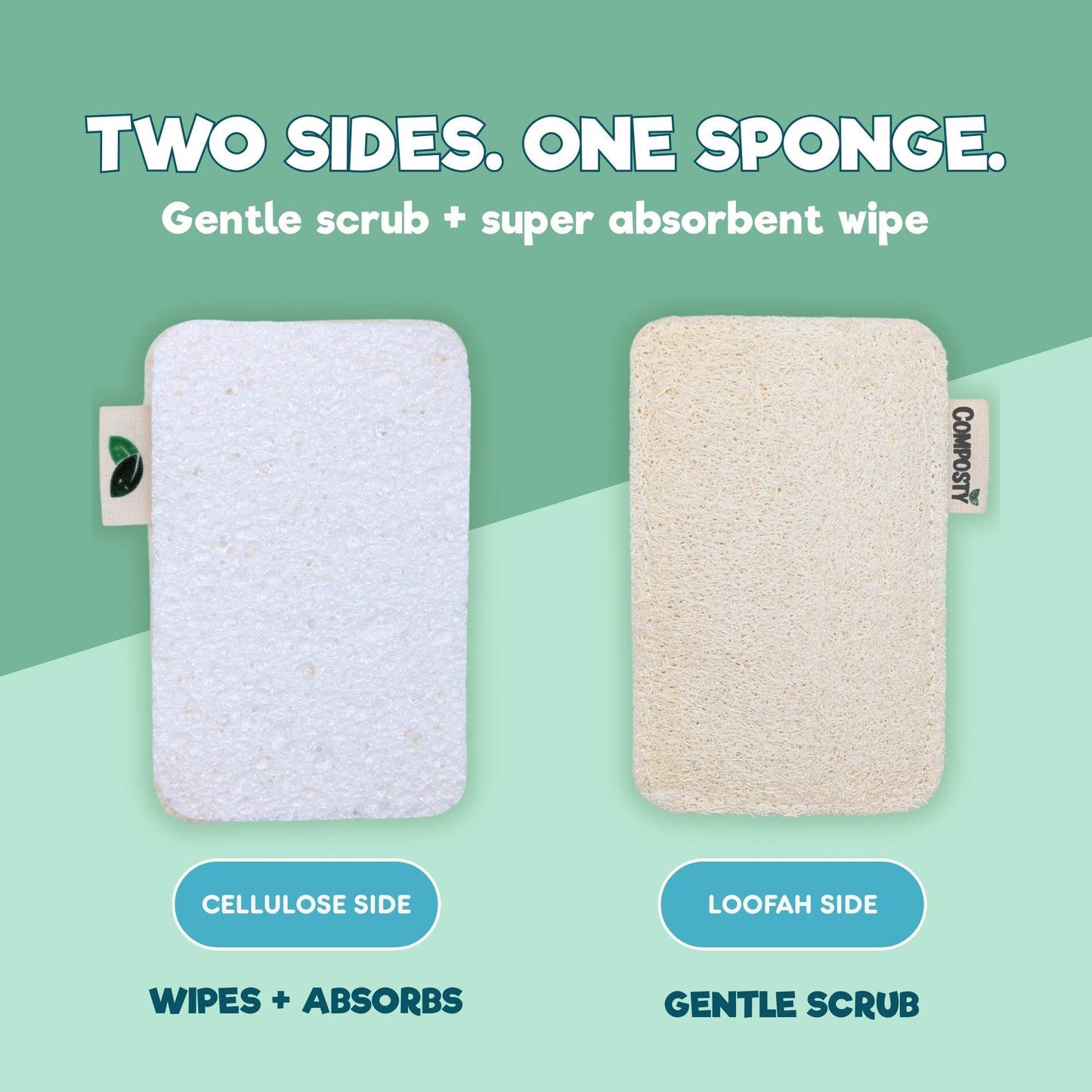 Try-Me Bundle: The Better Sponge Family