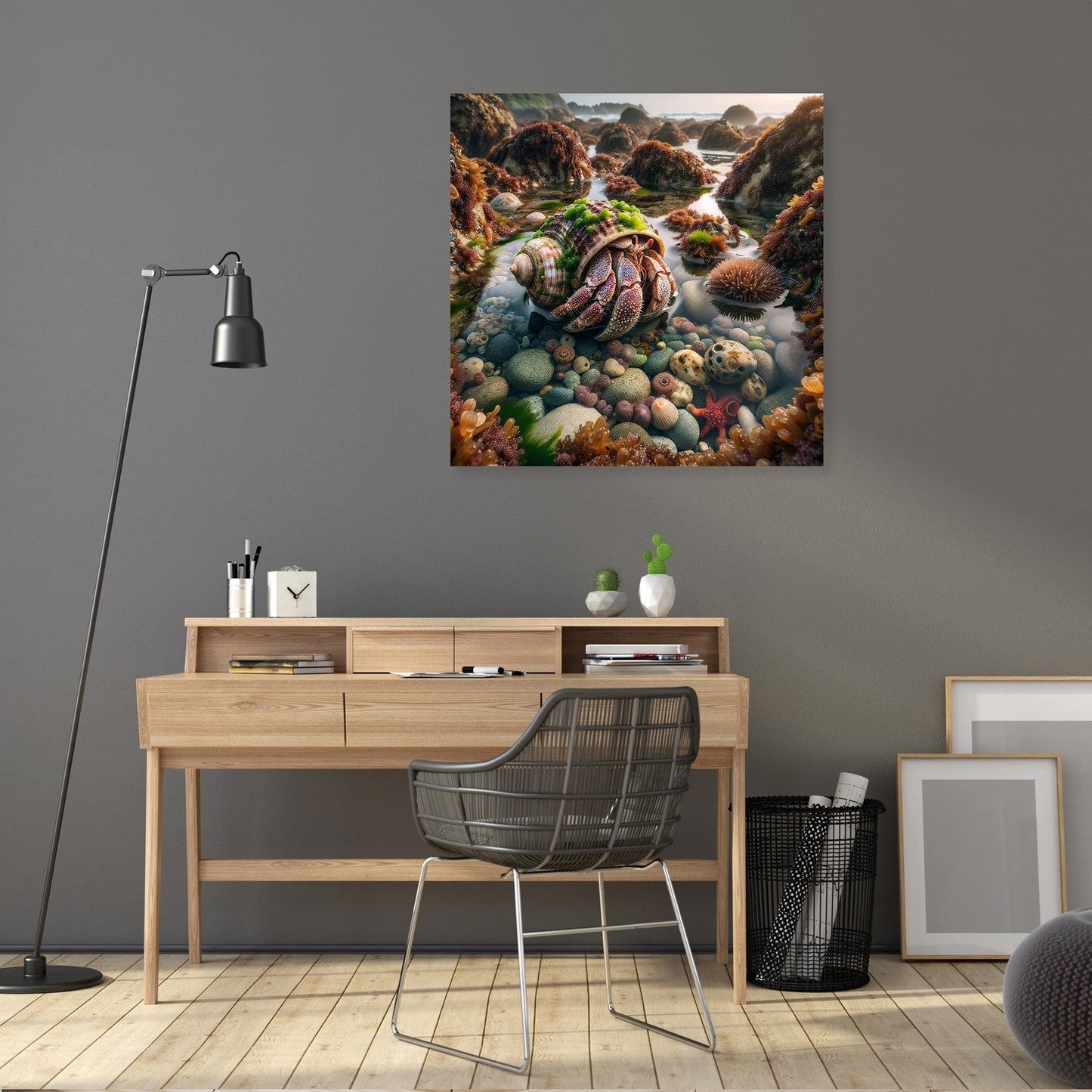 Tide Pool Hermit Crab Canvas