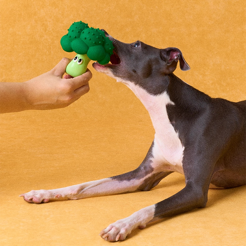 zeze Fruit & Veg Latex Squeaky Toy — Broccoli, Apple, Pear or Orange