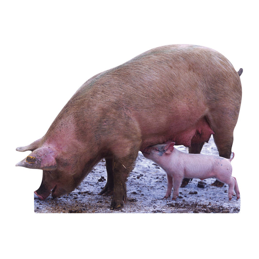 SC065 Pig and Piglet Cardboard Cut Out Height 87cm