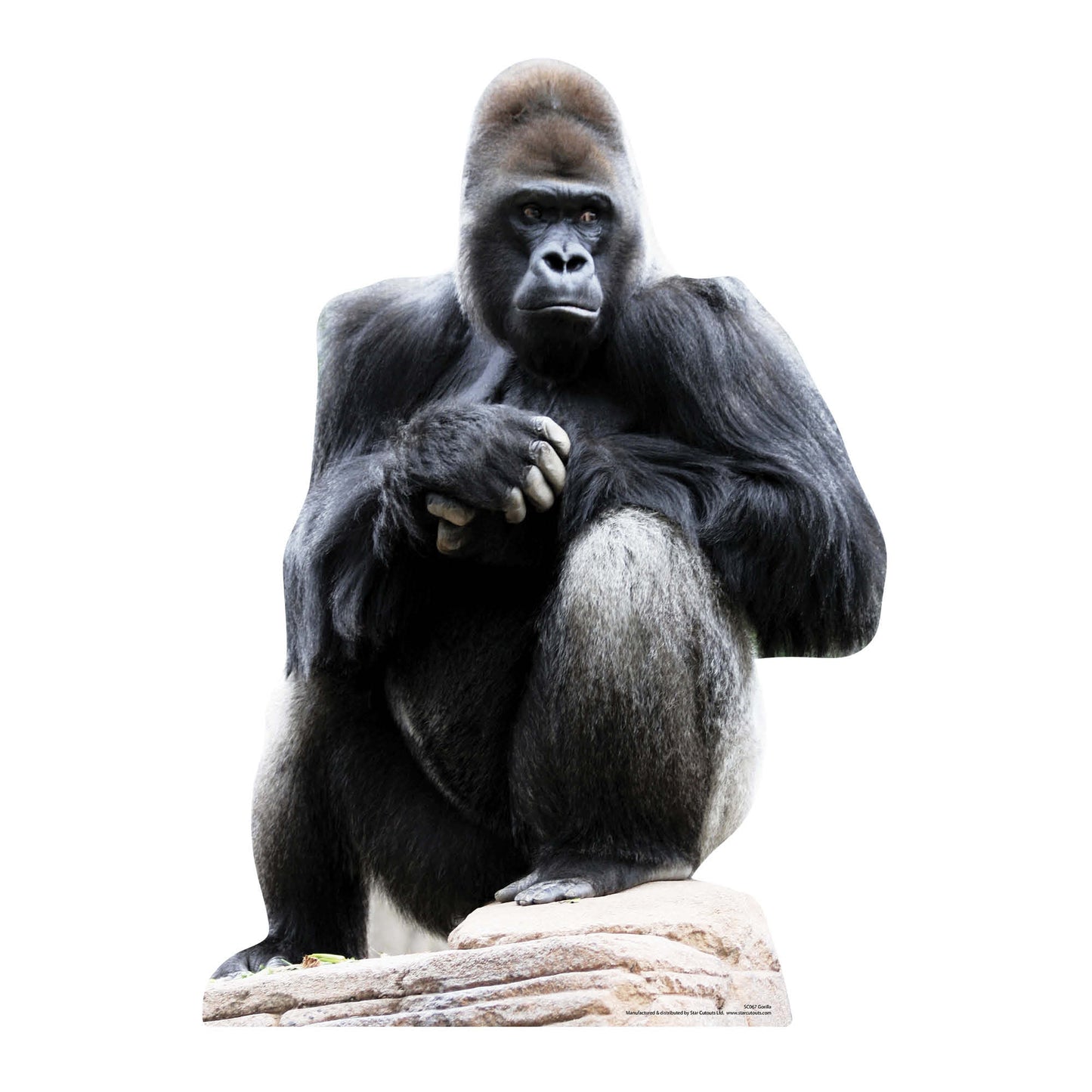 SC067 Gorilla Cardboard Cut Out Height 131cm