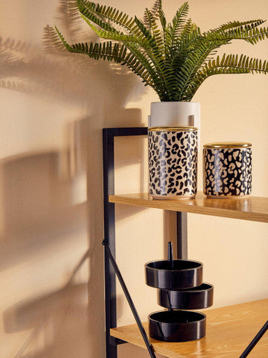 London Leo Medium Canister