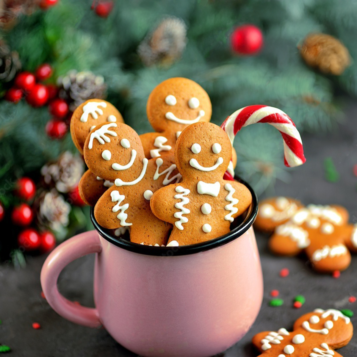 Sucre Gingerbread Man Cookie Cutter