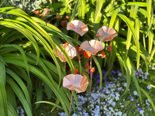 5 x Copper Bee Drinker Bundle