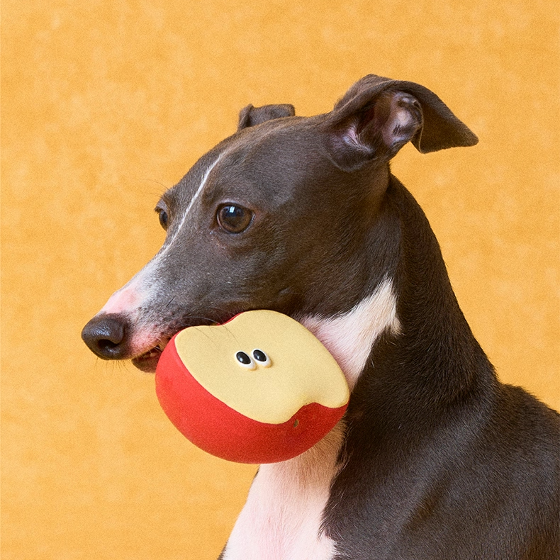zeze Fruit & Veg Latex Squeaky Toy — Broccoli, Apple, Pear or Orange