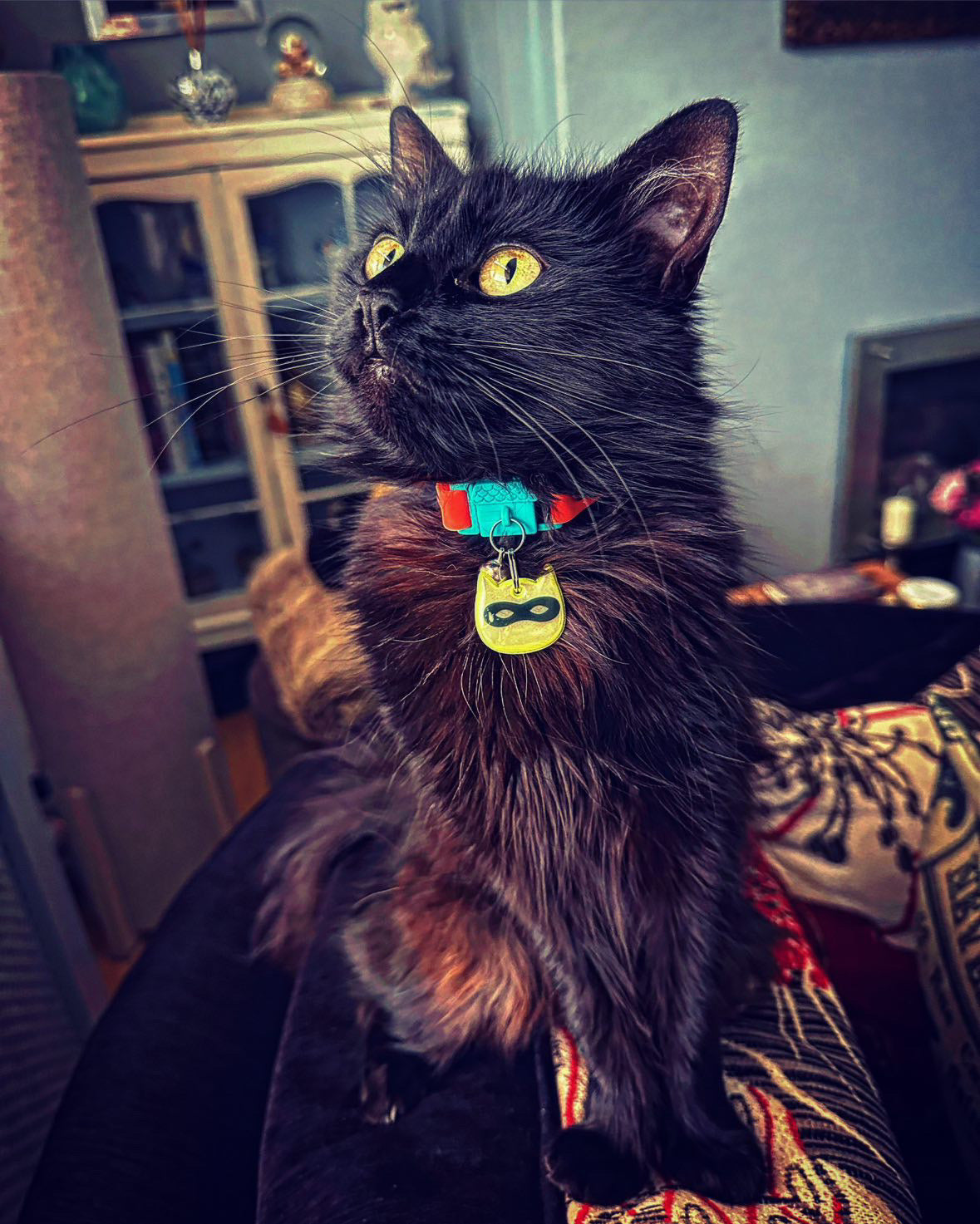 KITTYRAMA YELLOW NINJA CAT CHARM – Reflective, Safe, High Visibility