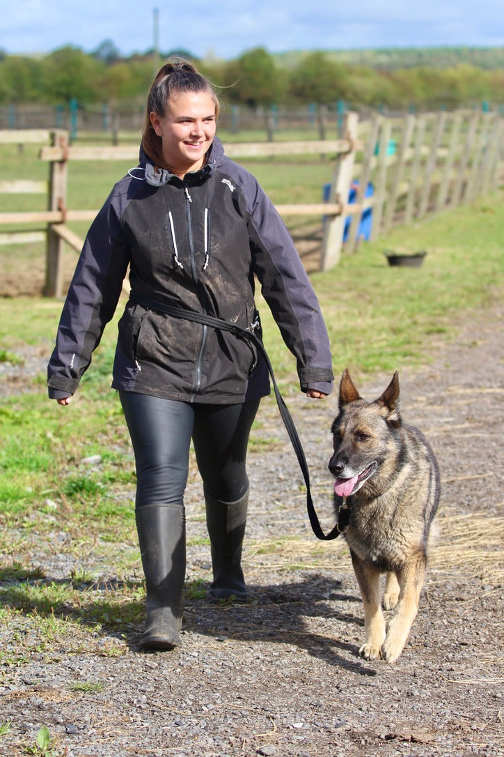 Cushion Web Double Ended Training Lead