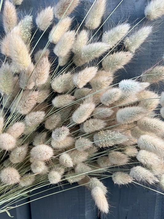 Bunny Tails Dried (Short)