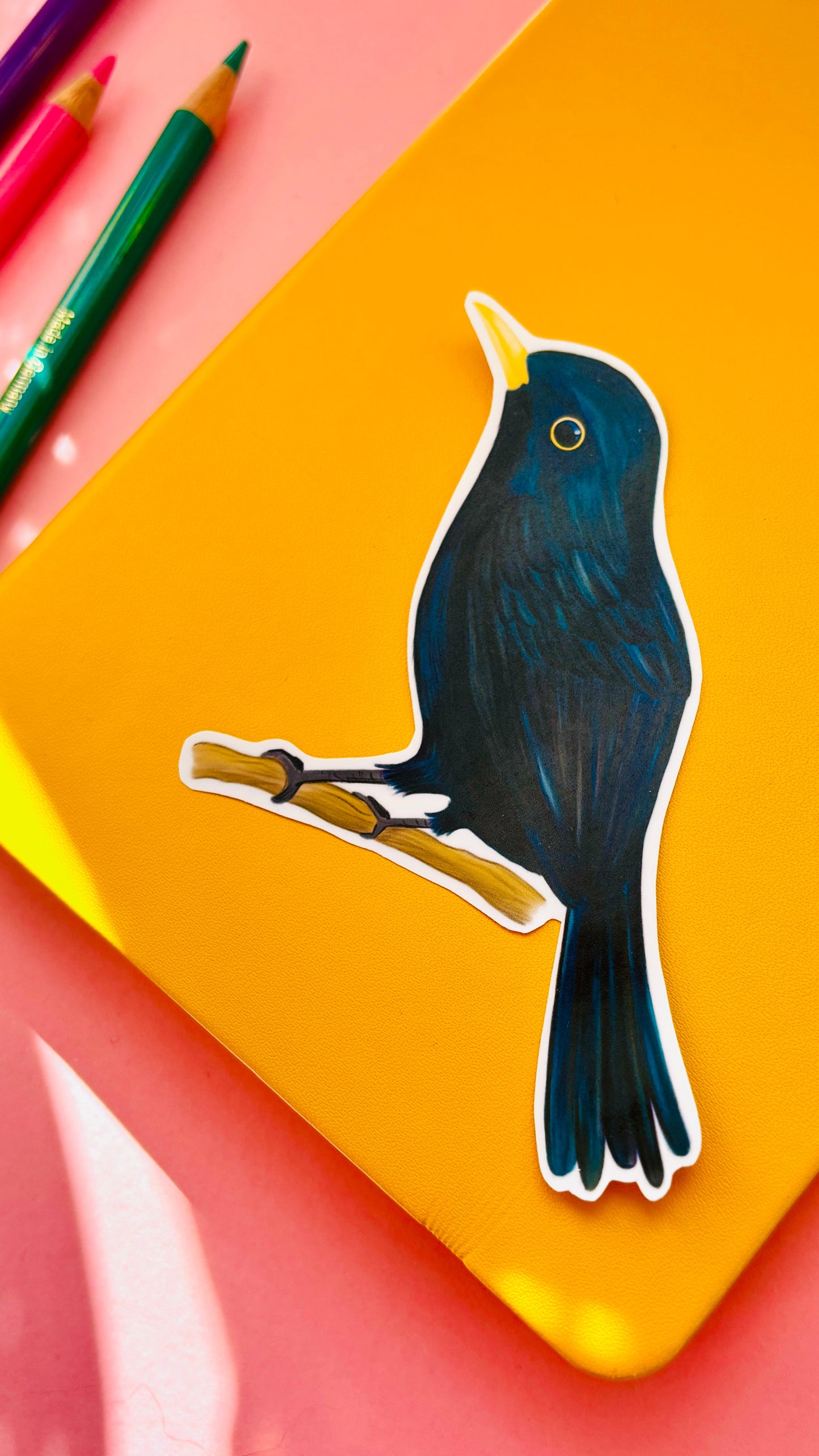 Blackbird Vinyl Sticker- British Wildlife Art Waterproof Sticker