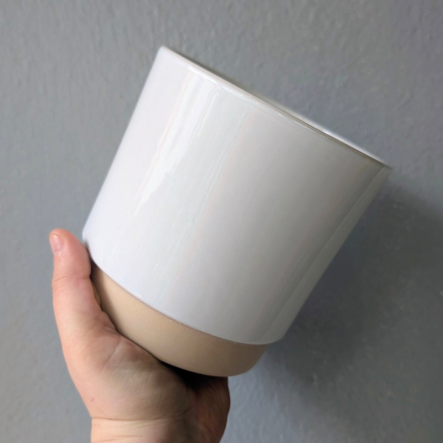 Ivyline Eno Ceramic Pots