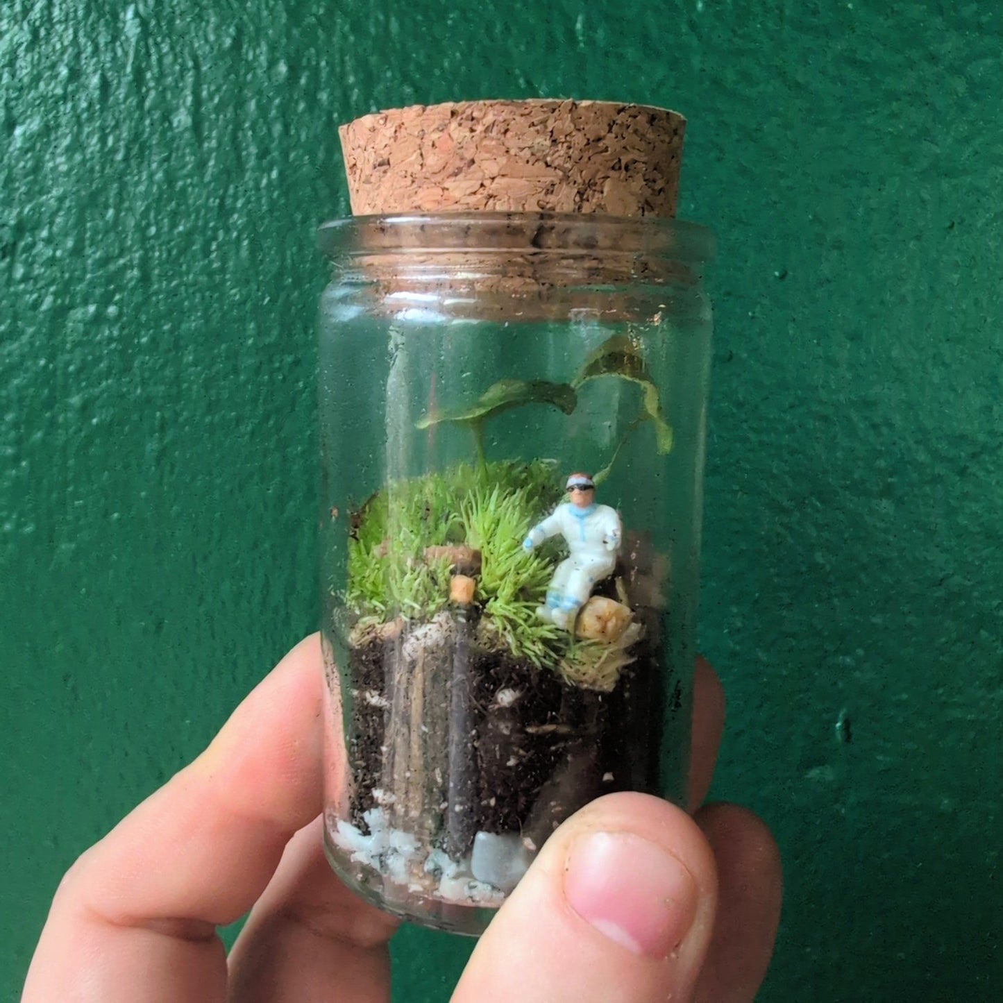 Closed mossarium and terrariums