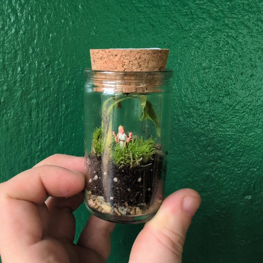 Closed mossarium and terrariums