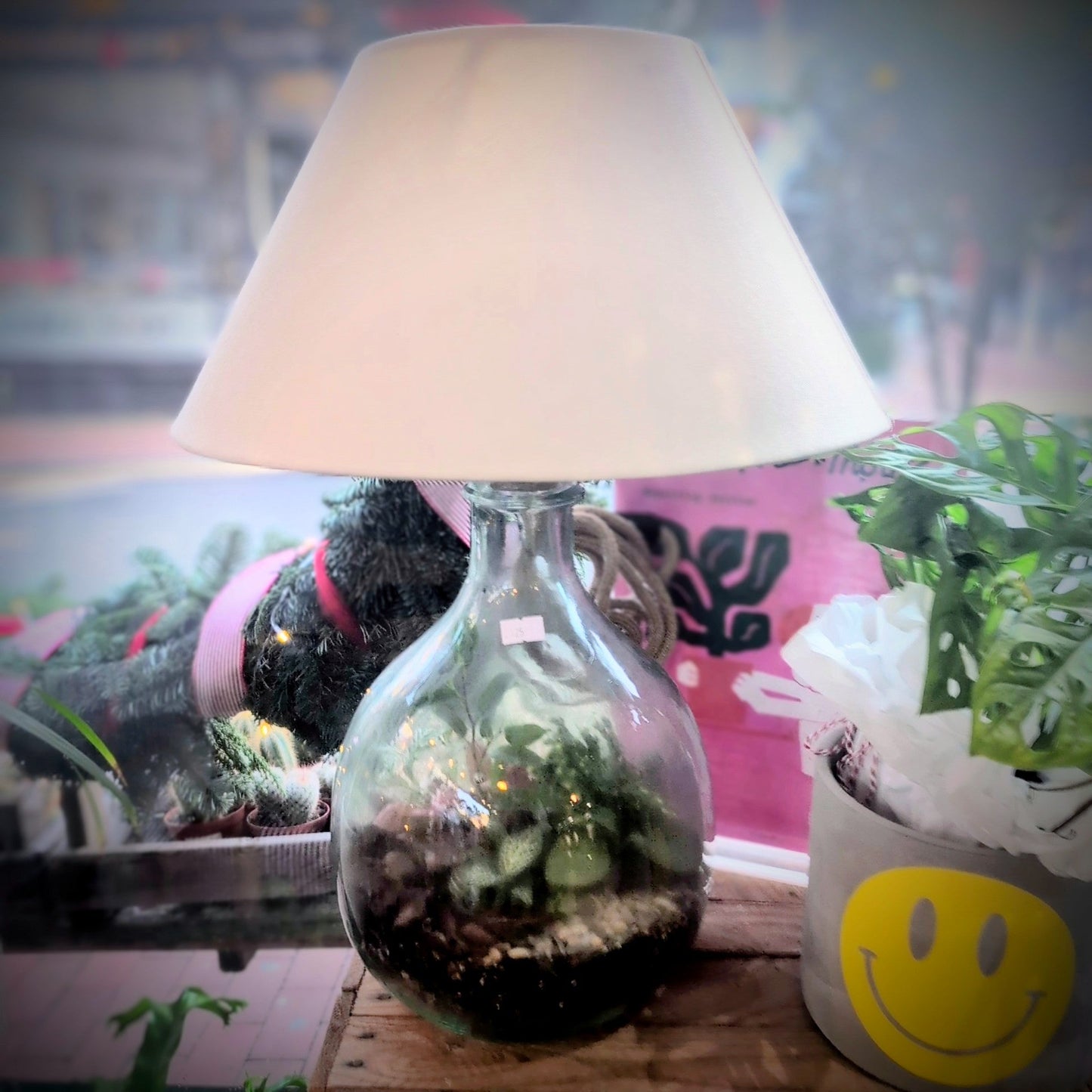 Terrarium Lamp (Various Sizes)