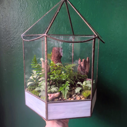 Vintage geometric terrarium
