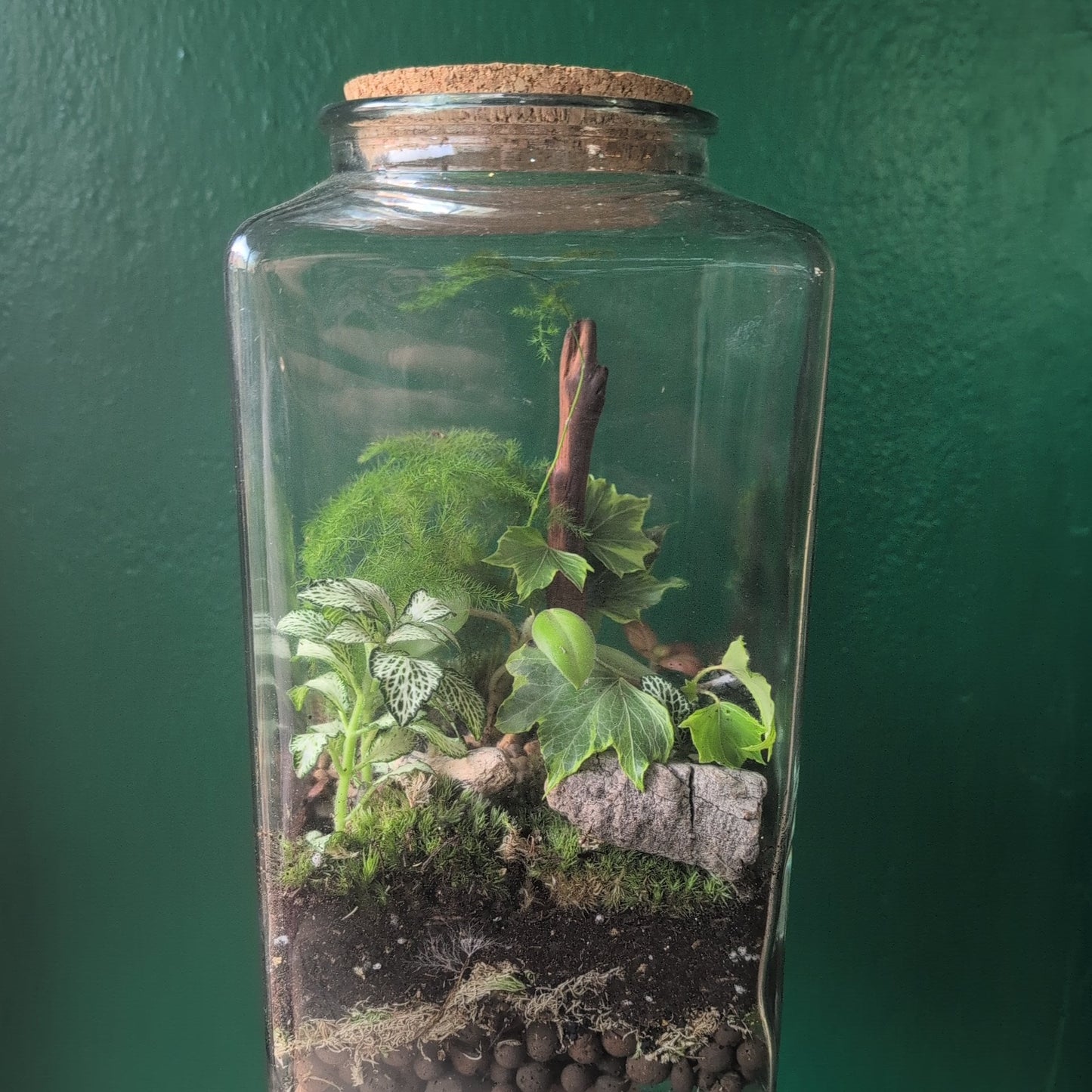 Cuboid shaped Terrarium with Cork Lid
