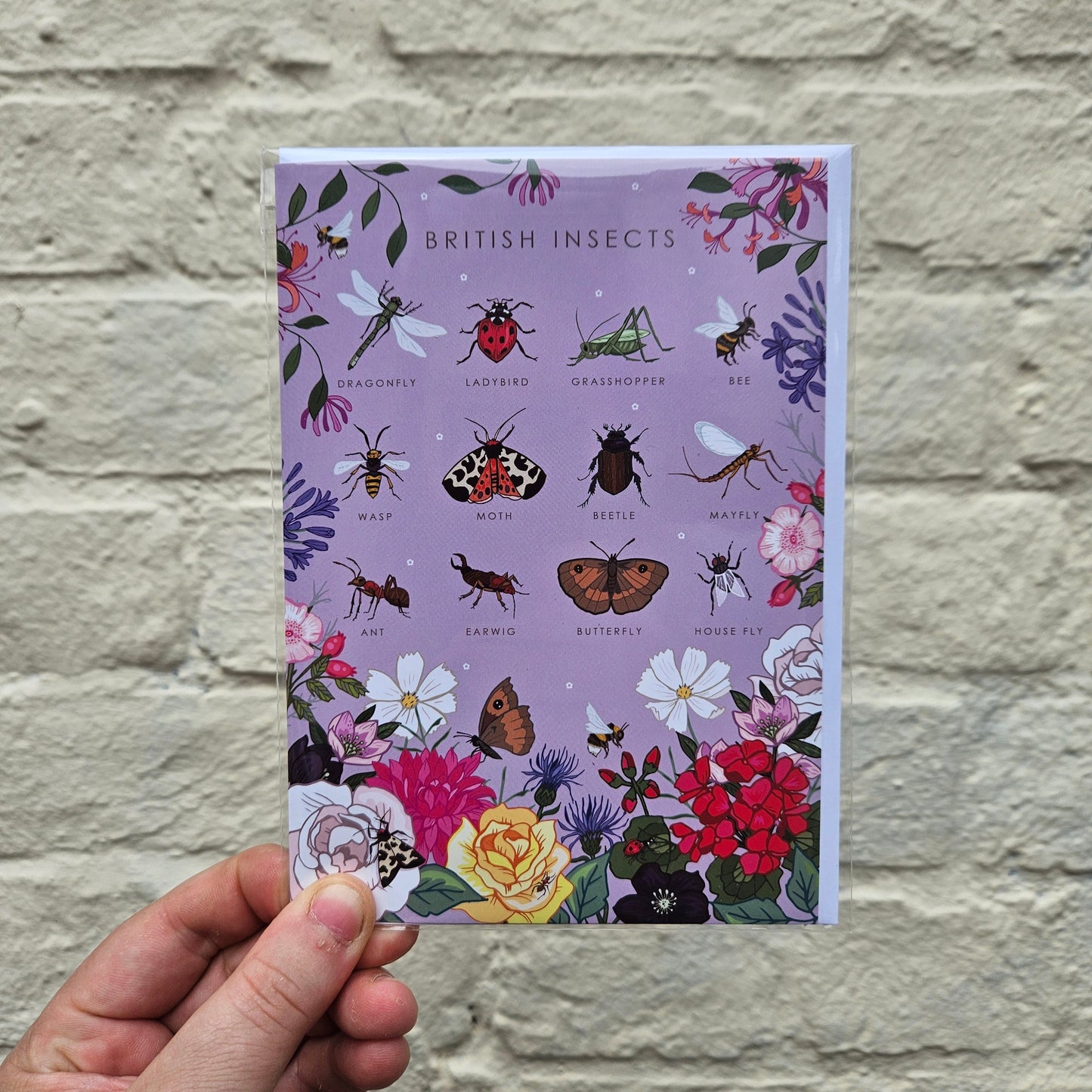 British Nature Guides Greeting Cards