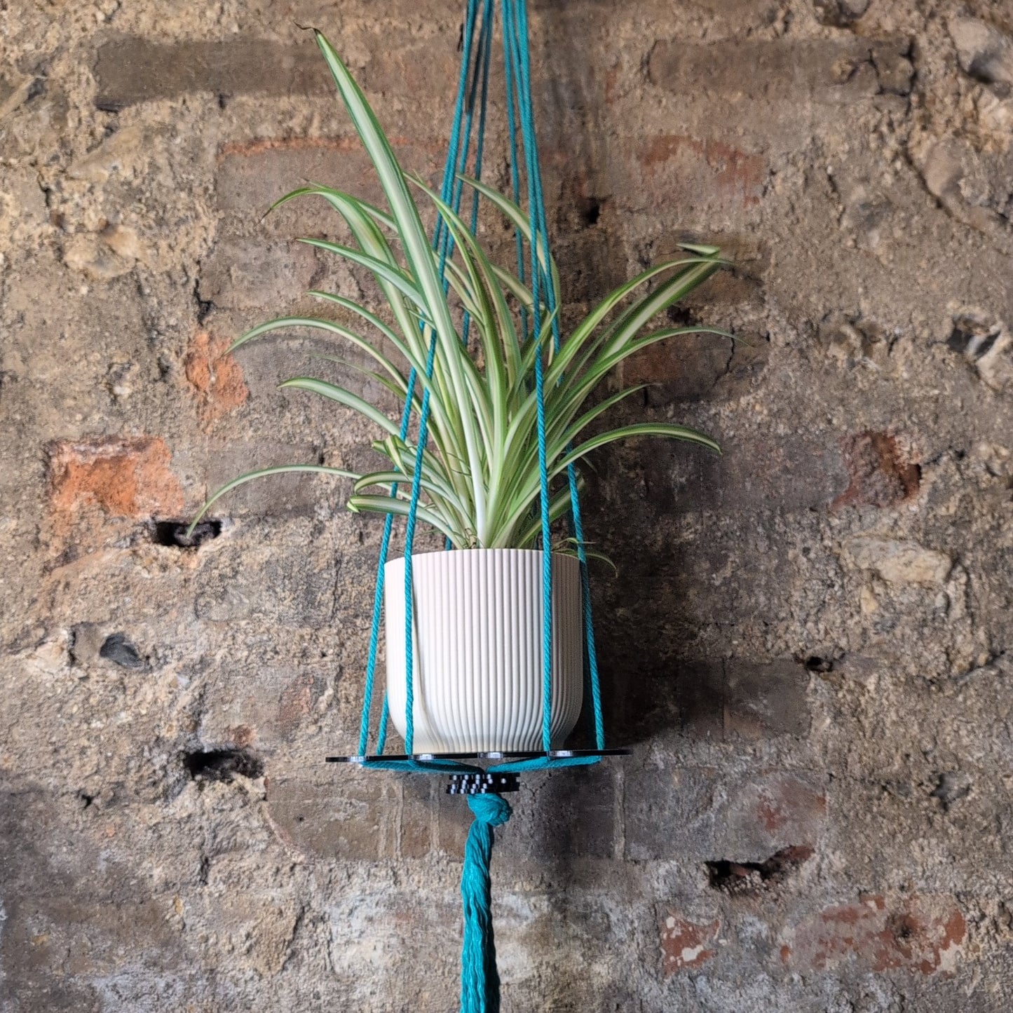 Floral Plant Hanger by Ada Binks