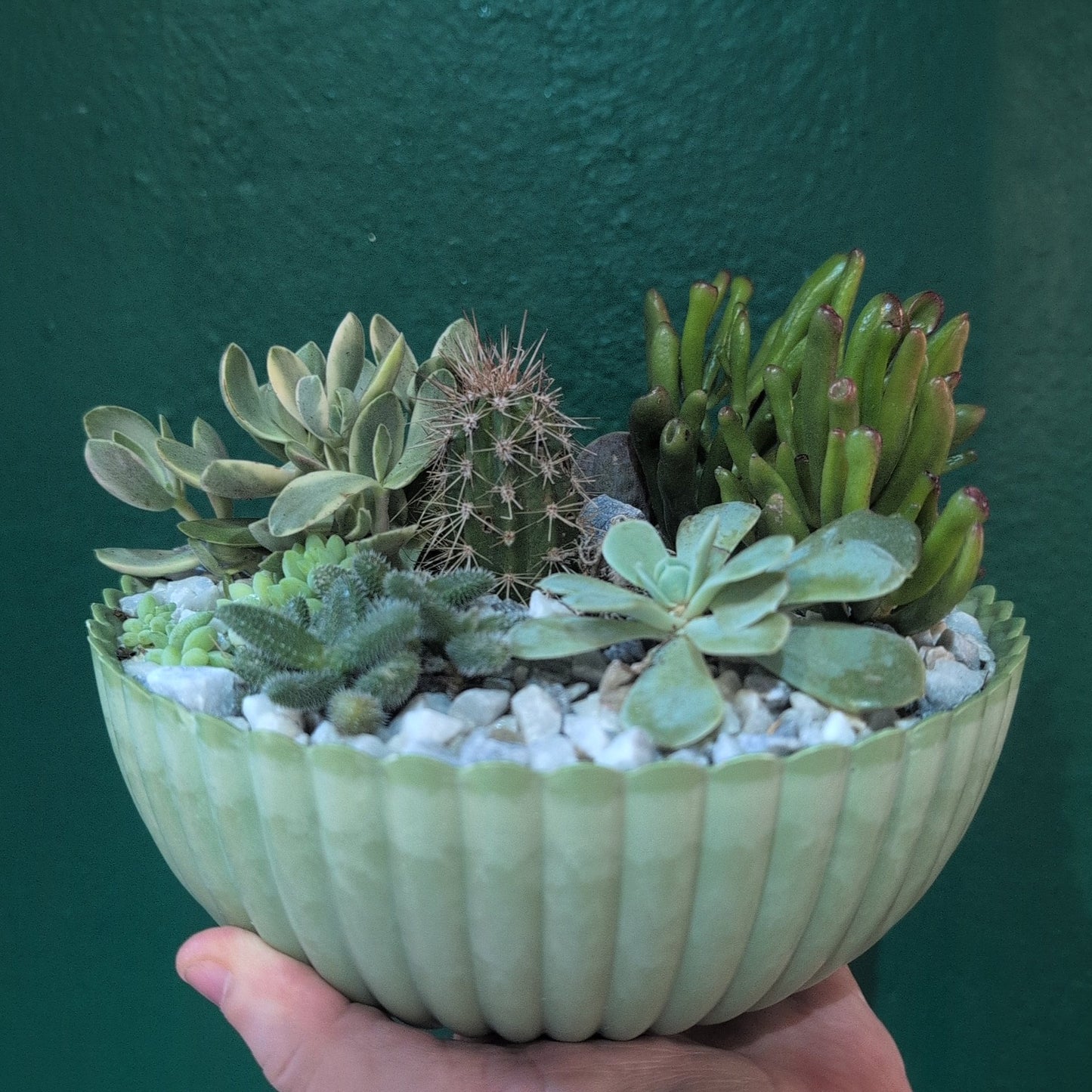 Round Small Bowl Open Terrarium