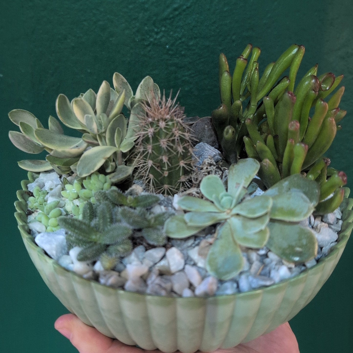 Round Small Bowl Open Terrarium