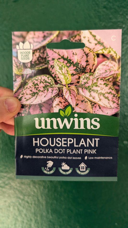 HousePlant Seeds