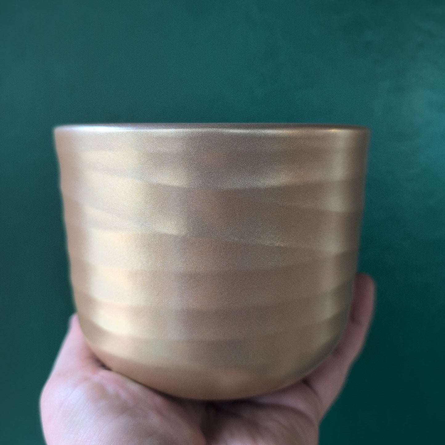 Ivyline Poinsettia Ripple Green Pot