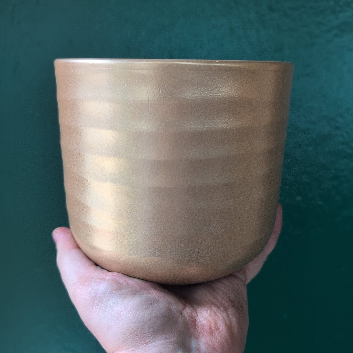 Ivyline Poinsettia Ripple Green Pot