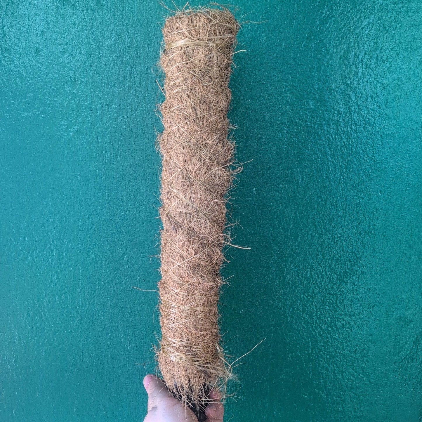 Moss pole- 5 sizes 50cm 80cm,100cm, 120cm, 150cm