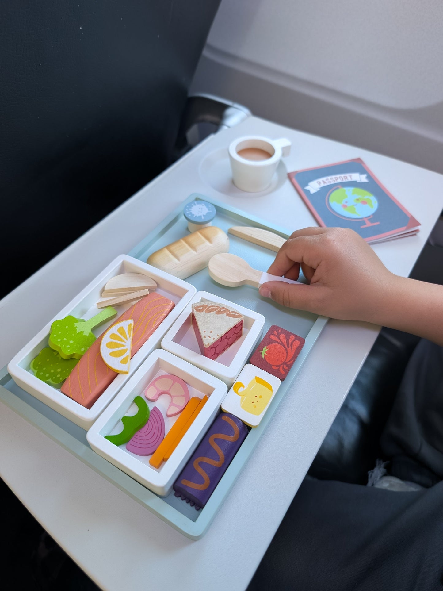Airline Meal Tray