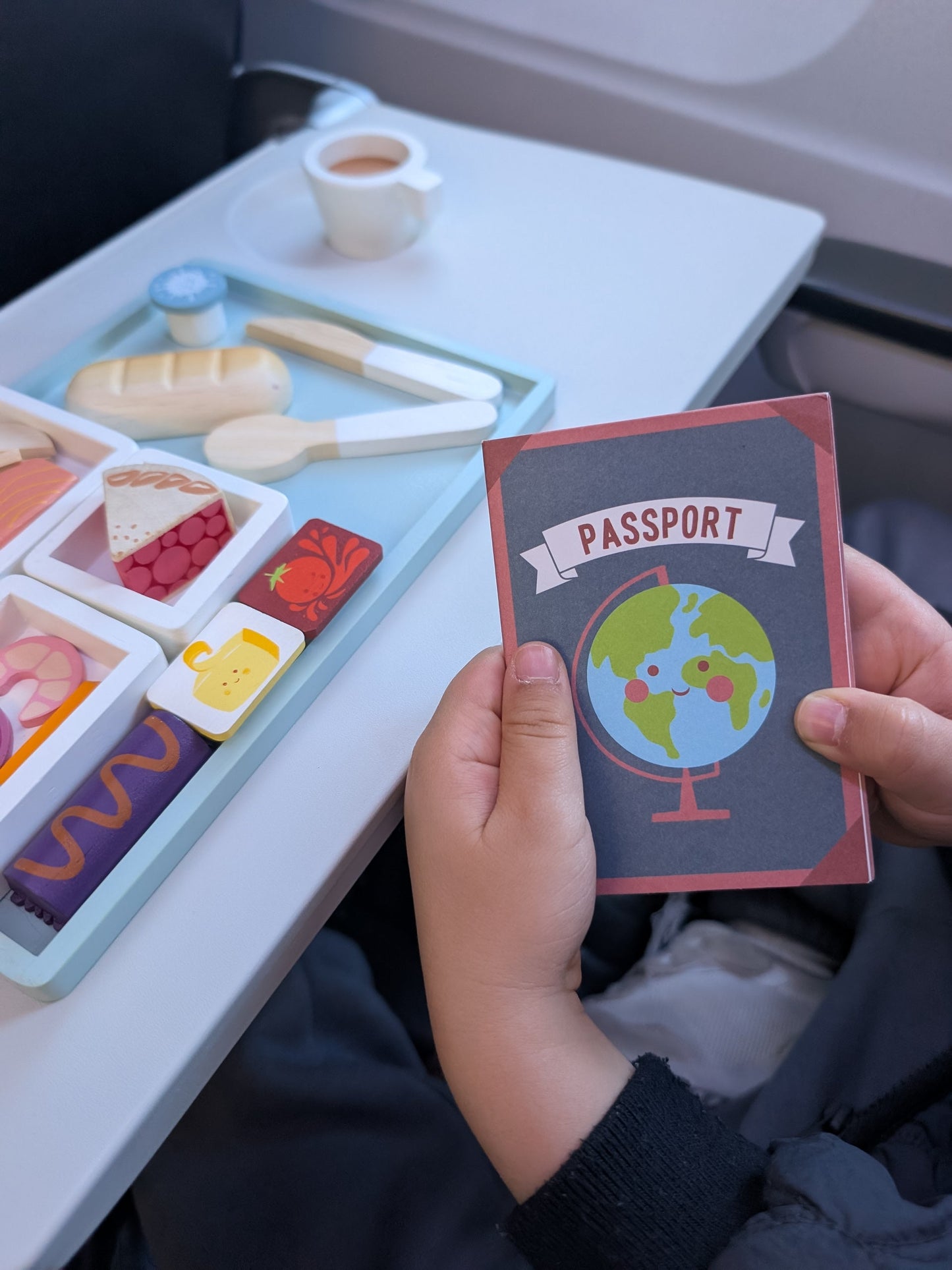 Airline Meal Tray