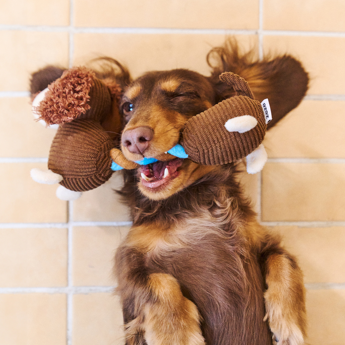 zeze Monica Rope Toy (Small) — Corduroy Plush Dog Toy with Squeaker and Rope