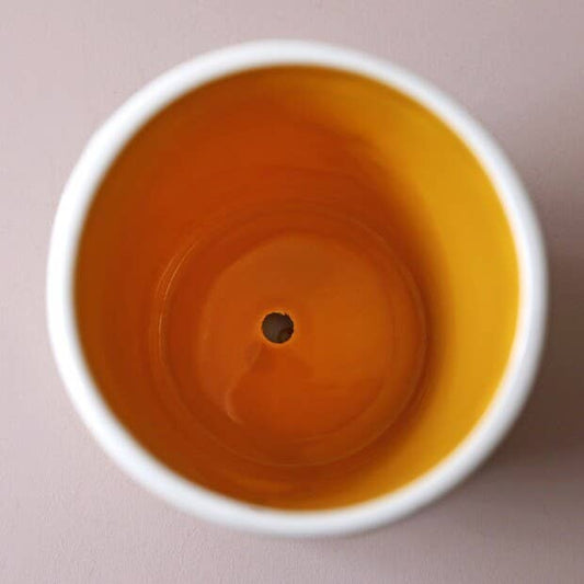 Lisa Angel Small Bee Ceramic Planter and Tray, H11cm