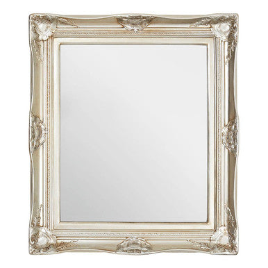 Ornate Acanthus Leaf Wall Mirror | Adelere
