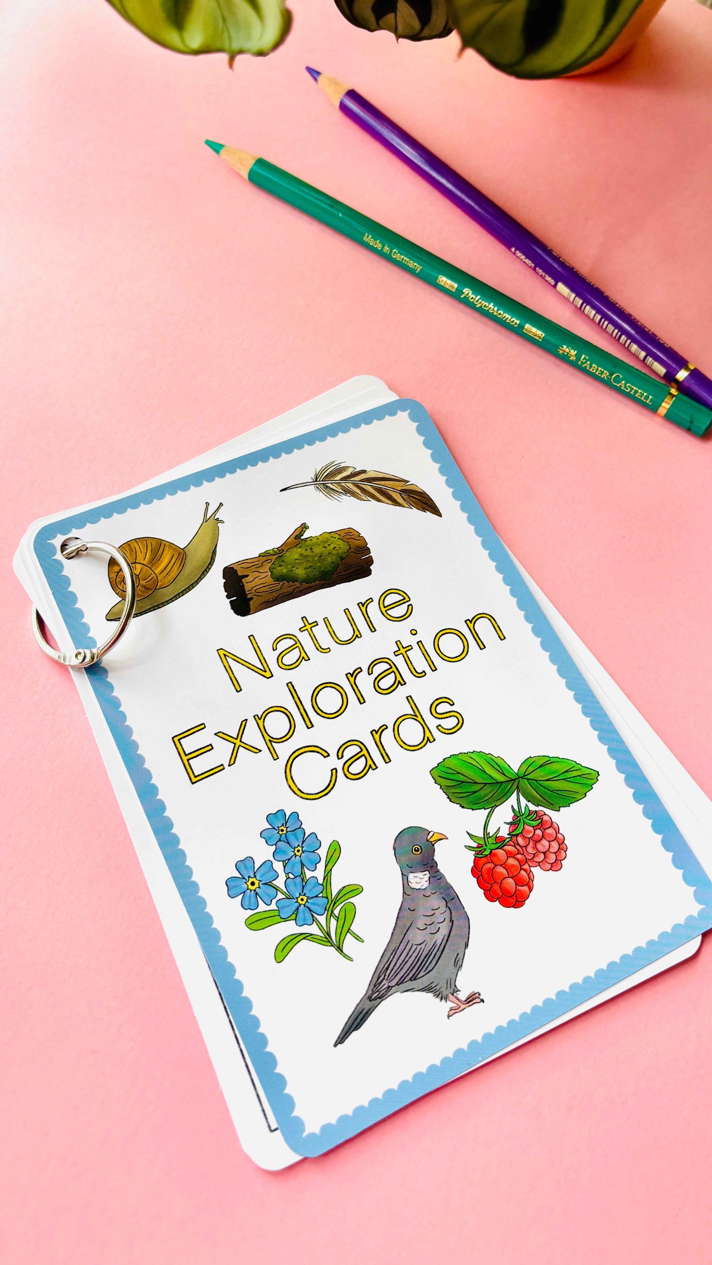 Nature Explorer Scavenger Hunt Cards- Illustrated Educational Activity Cards for Kids