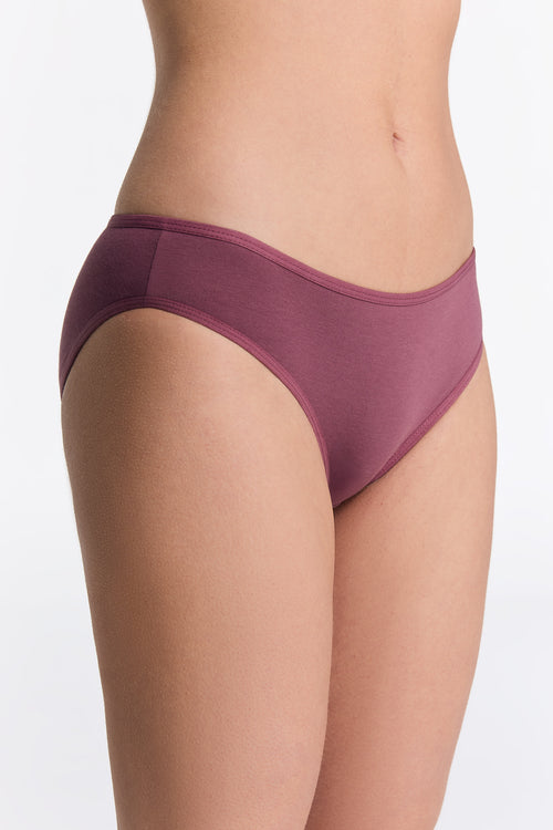 Organic Cotton Classic Briefs: Womens