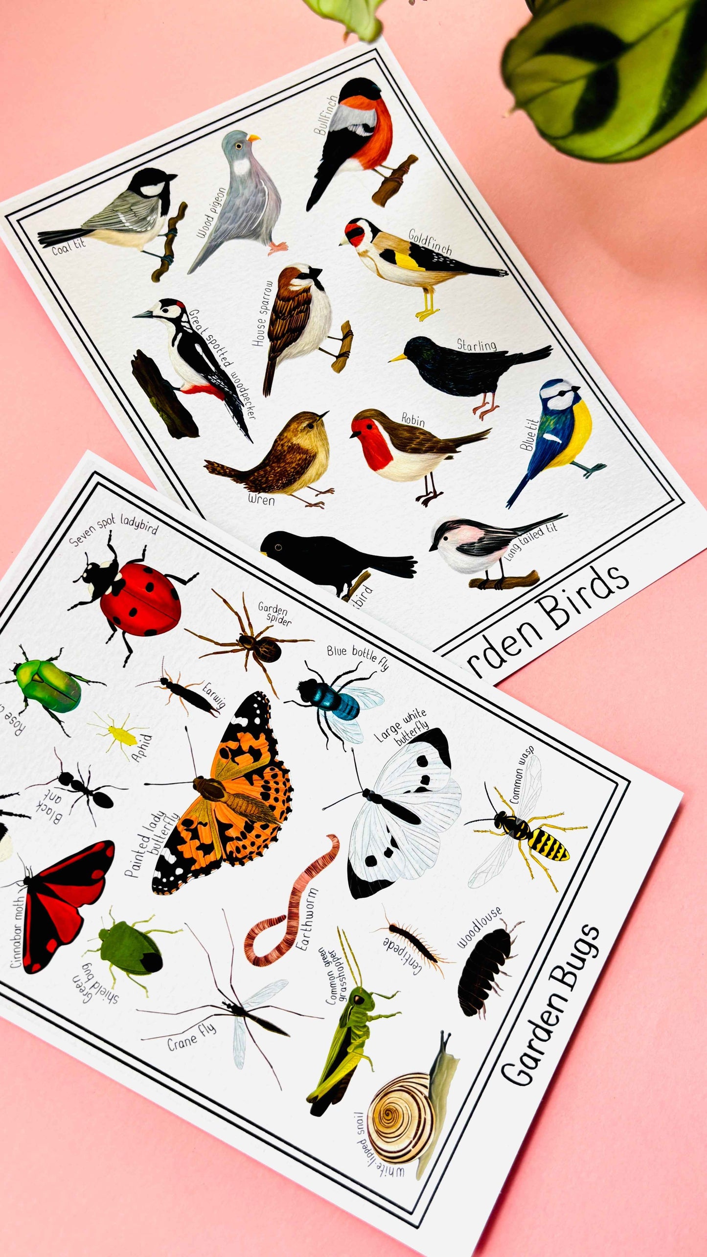 Garden Bug Wall Art Print: Nature Inspired Educational Prints